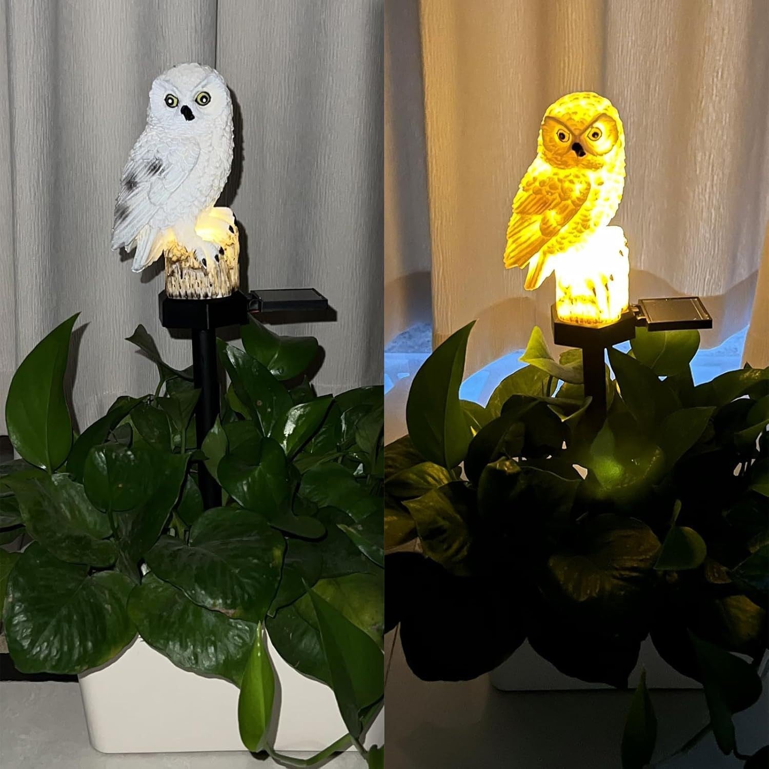 🔥 Holiday Special🔥 Waterproof Solar Owl Light